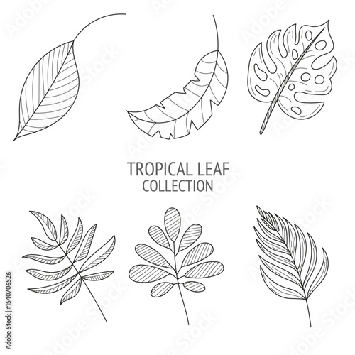 set of vector leaves