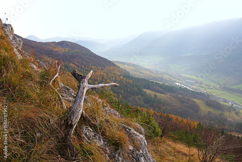 Stunning autumn mountain landscape with a dead tree in foreground.