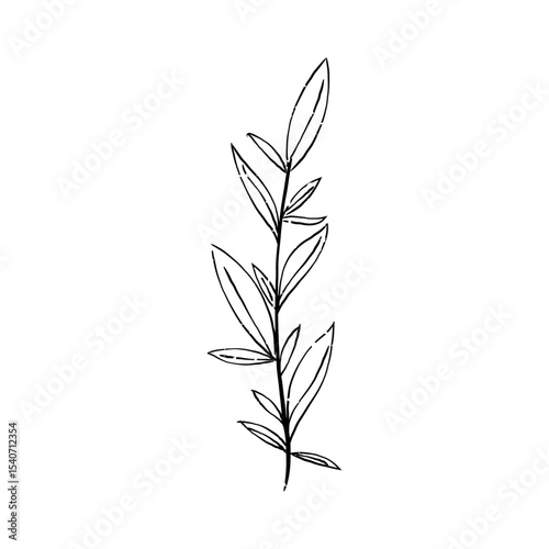 black and white leaves