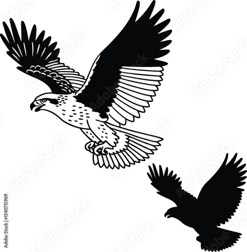 Falcon Head Close-Up Vector Illustration
