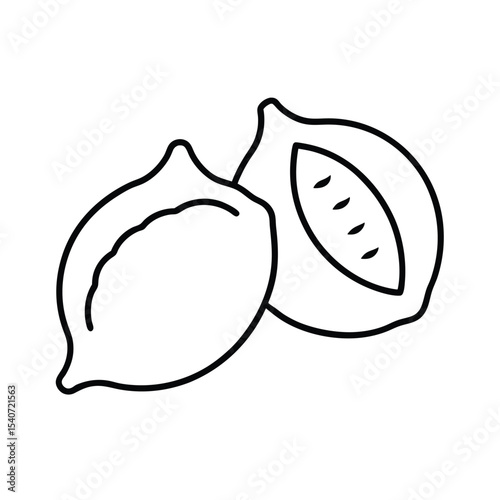 Stuffed Shells Pasta with Ricotta in Outline Drawing Vector illustration