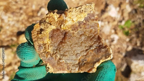 Kidney-shaped chalcedony in hand, examination of a found specimen, central Russia
