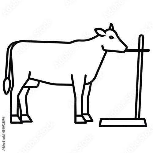 Cow standing next to a metal stand isolated on white background