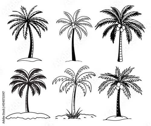 Six palm trees in black and white isolated on white background