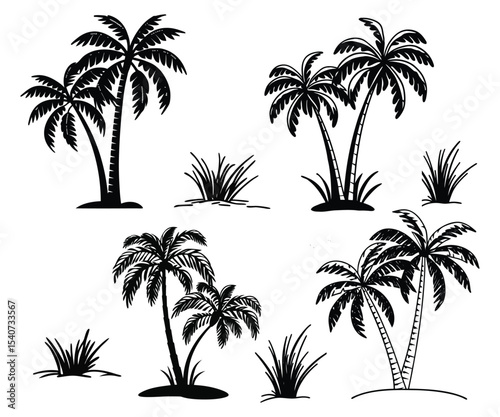 Palm trees and grass isolated on white background in a black silhouette