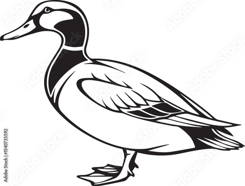 Mallard Duck in Profile A Detailed Line Art Illustration duck isolated on white