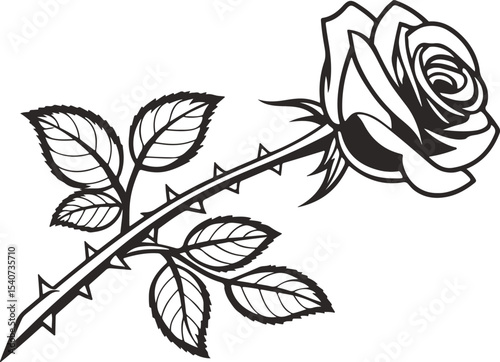 black and white rose Elegant Black and White Rose with Thorns
