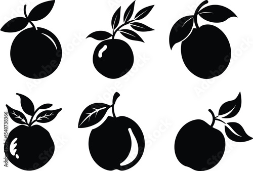 Orange Fruit Vector Icons