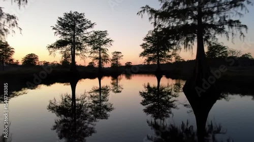 Cypress Trees Reflections In Calm Waters At Sunrise