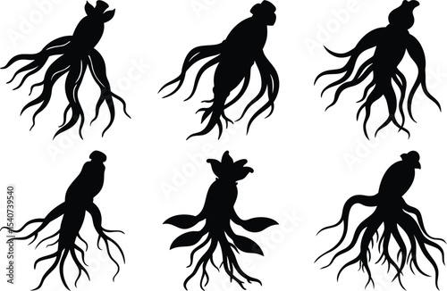Ginseng Root Vector Icons