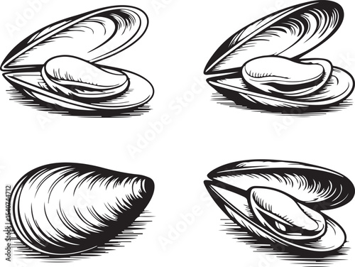 Fresh Mussels Engraving Style Set