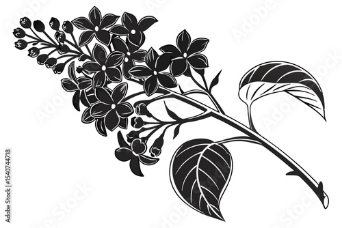 Monochrome blossoming lilac branch conveys nature's springtime elegance with detailed petals and leaves