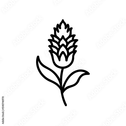 Hand drawn summer flower line art botanical illustration