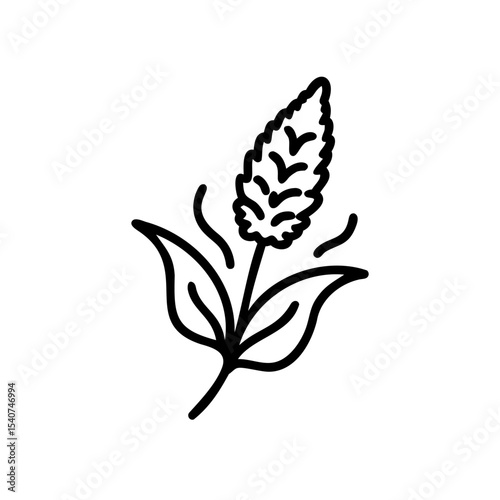 Hand drawn summer plant illustration line art graphic design element