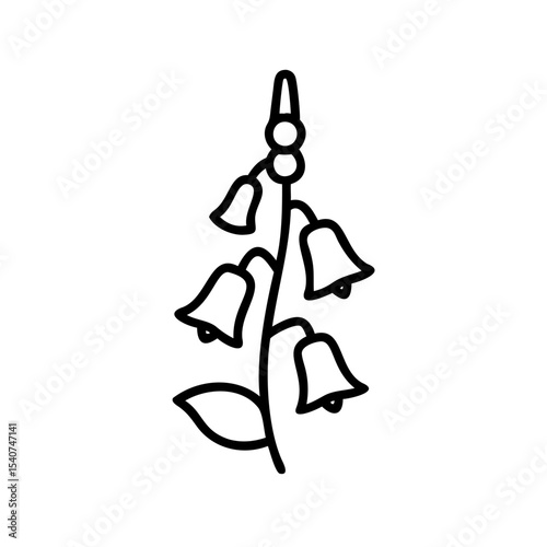 Hand drawn summer flower illustration bell shaped blooms