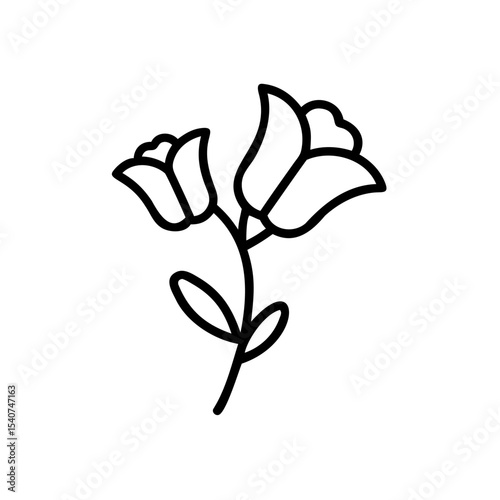 Hand drawn summer flower line art two blooms minimalist design