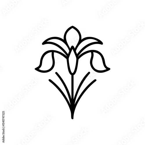 Hand drawn summer iris flower line art illustration