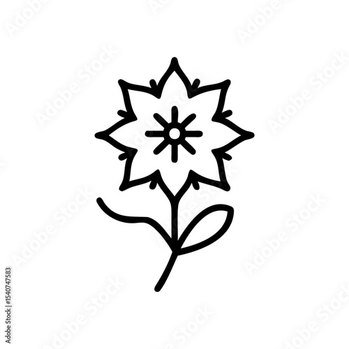 Hand drawn summer flower line art botanical illustration