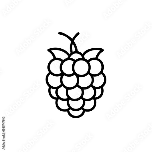 Hand drawn raspberry summer fruit line art icon