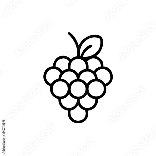 Hand drawn raspberry summer fruit icon line art