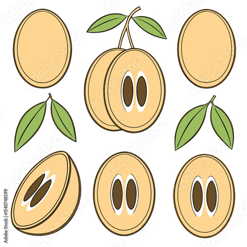 Colorful illustrated sapodilla fruit slices with leaves isolated on a white background