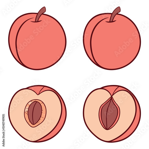 Hand drawn peach fruit illustration showing whole fruit and halved versions in vector format.