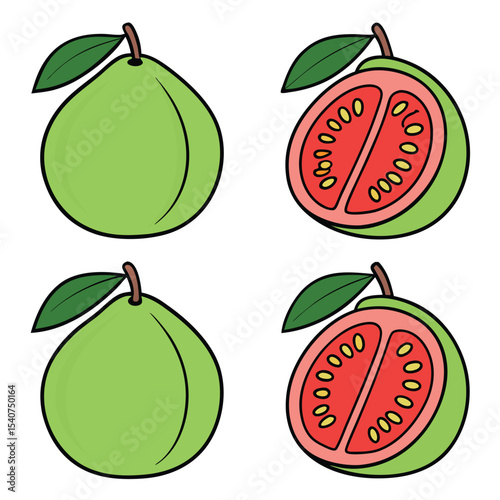 Illustrated guava fruit whole and sliced sections with seeds isolated on white background