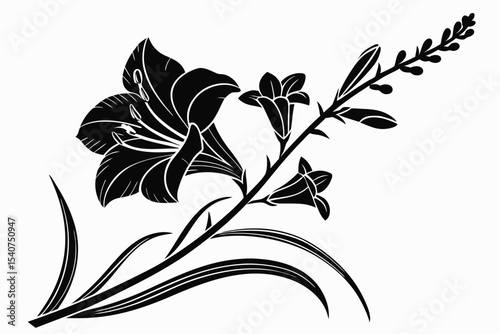 Elegant gladiolus branch showcases a delicate floral design in black silhouette against white