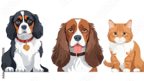 Portrait of a dog Russian Spaniel and cat Scottish Straight isolated on white background

