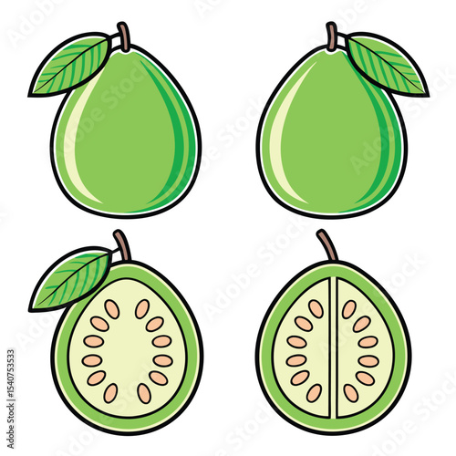 Vector illustration of fresh green guava fruit whole and cut slices with leaf detail