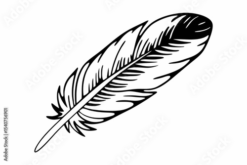 Vector bird feather from wing isolated. Black and white engraved ink art. Isolated feather illustration element on white background.

