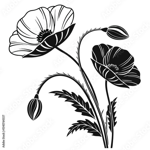 Stylized black and white poppy shows flower heads, buds, and leaves gracefully
