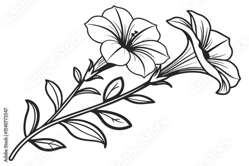 Two petunia flowers bloom on a stem with leaves in black and white drawing