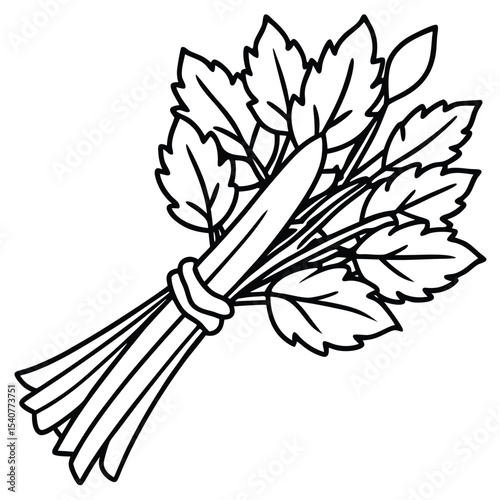 Celery bunch line art isolated on white background