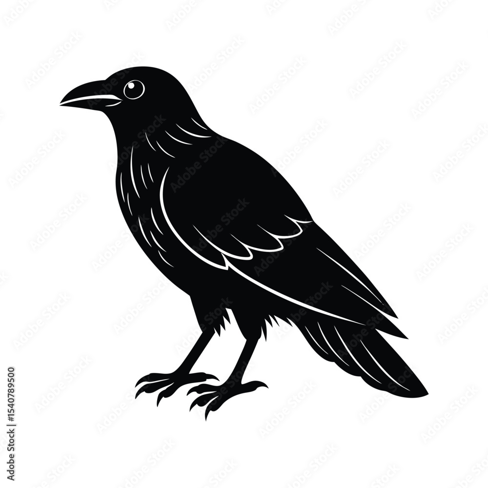 crow on white background crow on white background