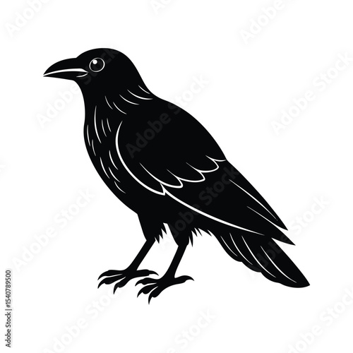 crow on white background