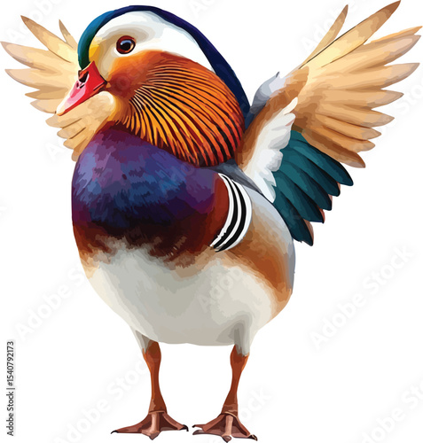 mandarin duck