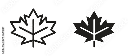Maple Leaf icon