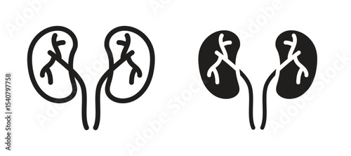 Kidneys icon