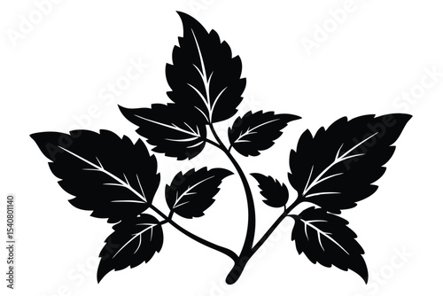Elegant Black Leaf Silhouette with Detailed Veins and Intricate Serrated Edges Design