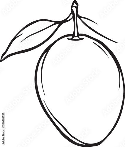 hand-drawn black and white mango with leaves — minimalist fruit illustration for culinary and botanical design
