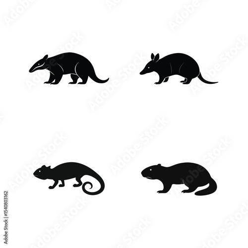 Wild anteater armadillo beaver and chameleon together silhouette Vector illustration