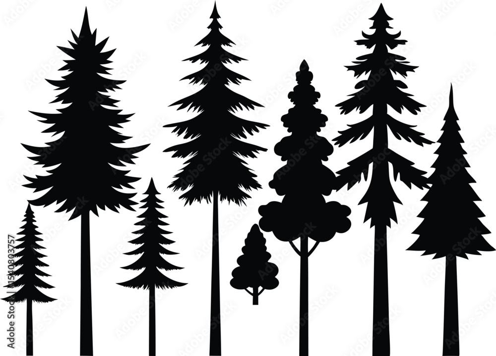 Fototapeta premium Silhouettes of seven evergreen trees in a row