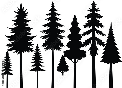 Silhouettes of seven evergreen trees in a row