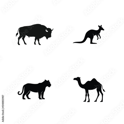 Kangaroo bounding tiger prowling strong bison and steady camel silhouette Vector illustration