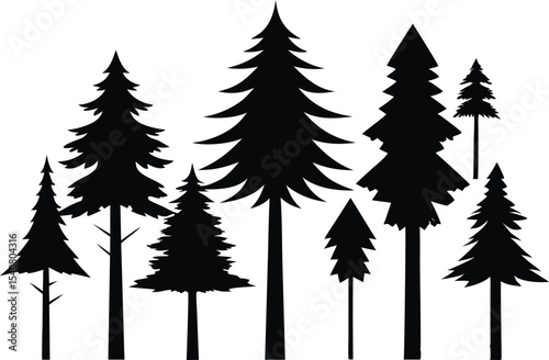 Silhouettes of various evergreen trees in a forest