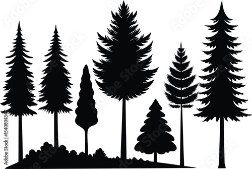Silhouettes of various evergreen trees in a forest