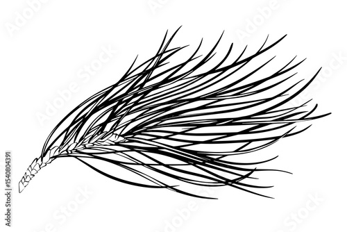 Vector line art illustration of a pine branch. Hand drawn sketch of a conifer twig, isolated on a white background. Suitable for nature, botanical, and seasonal themes like winter and Christmas.