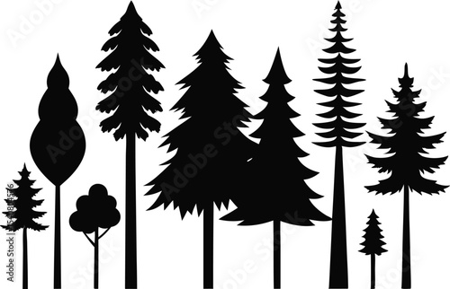 Silhouettes of various evergreen trees in a forest