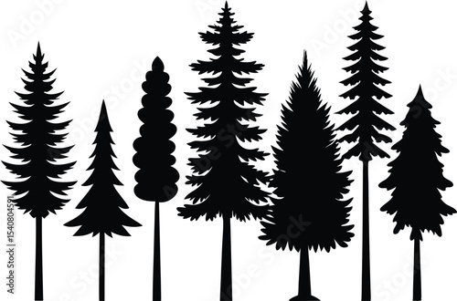 Silhouettes of various evergreen trees in a row